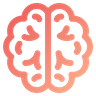 brain